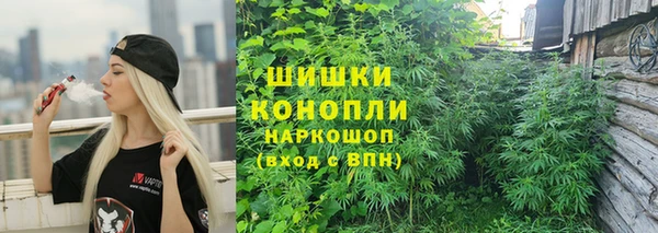 прущий лед Арсеньев