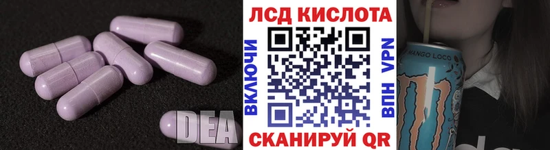 даркнет сайт  Суровикино  Лсд 25 экстази кислота 